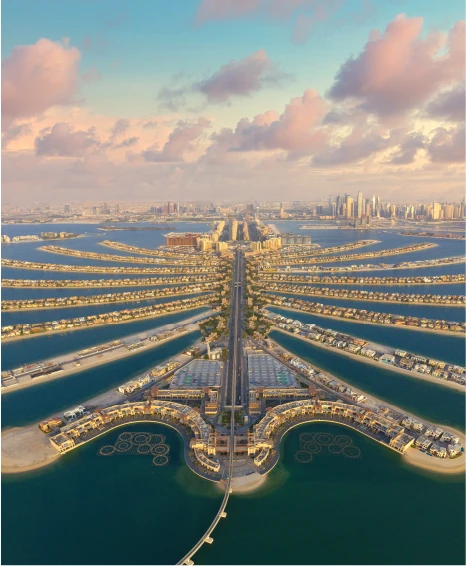 Palm Jumeirah trunk-100